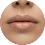 Labios